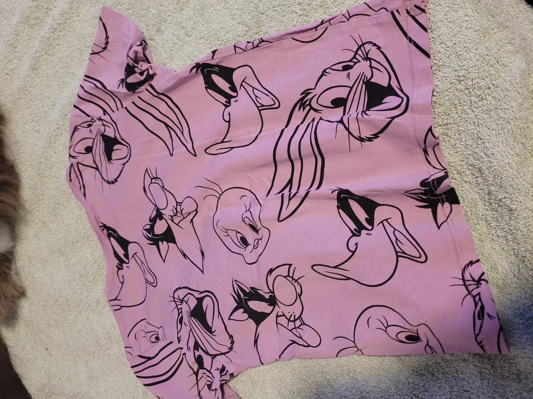 Looney Tunes T-shirt