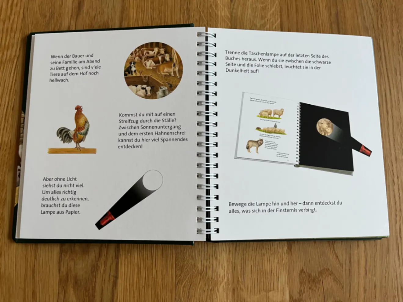 💡 Licht an! 💡Nachts auf dem Bauernhof - Sauerländer Verlag