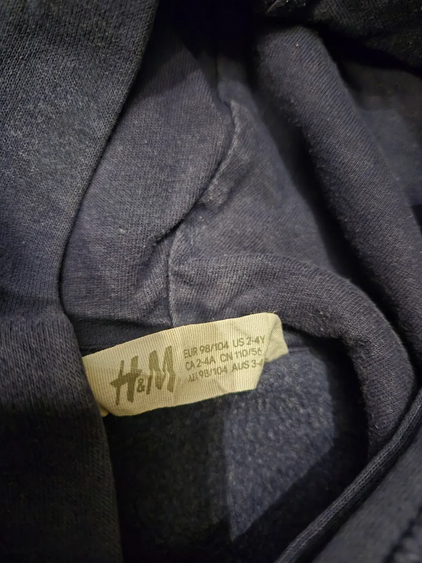 Pullover / Kapuzenpullover "T-Rex", Jungen, H&M, Größe 98/104