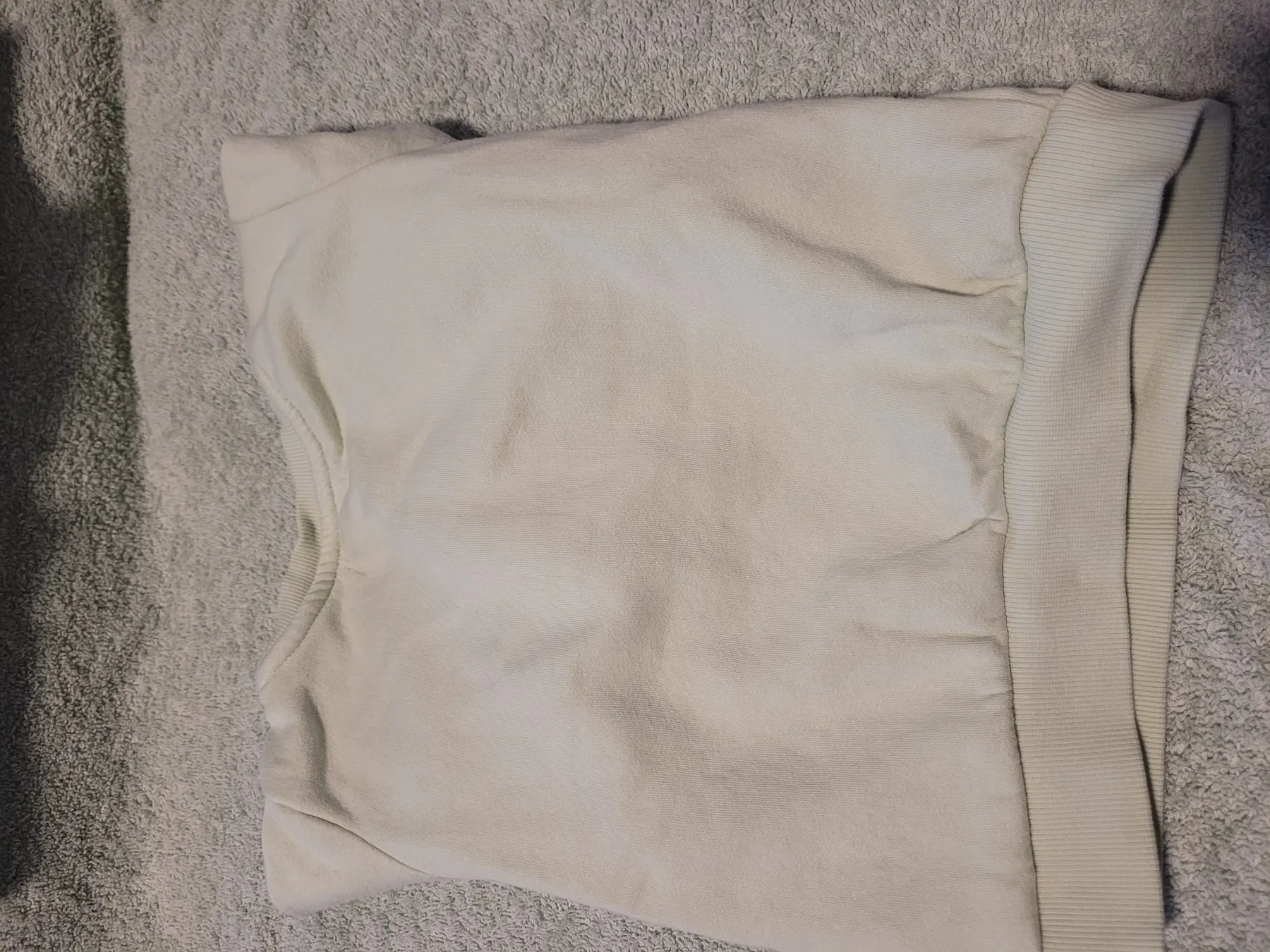 Authentic Boy T-Rex Pullover