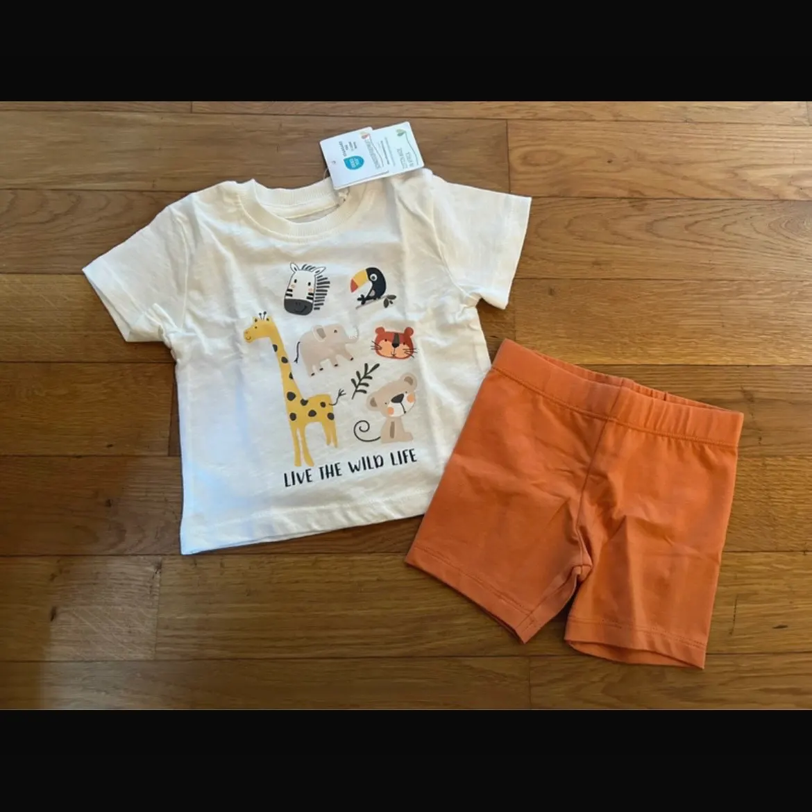 T-Shirt mit Hose Gr. 50/56