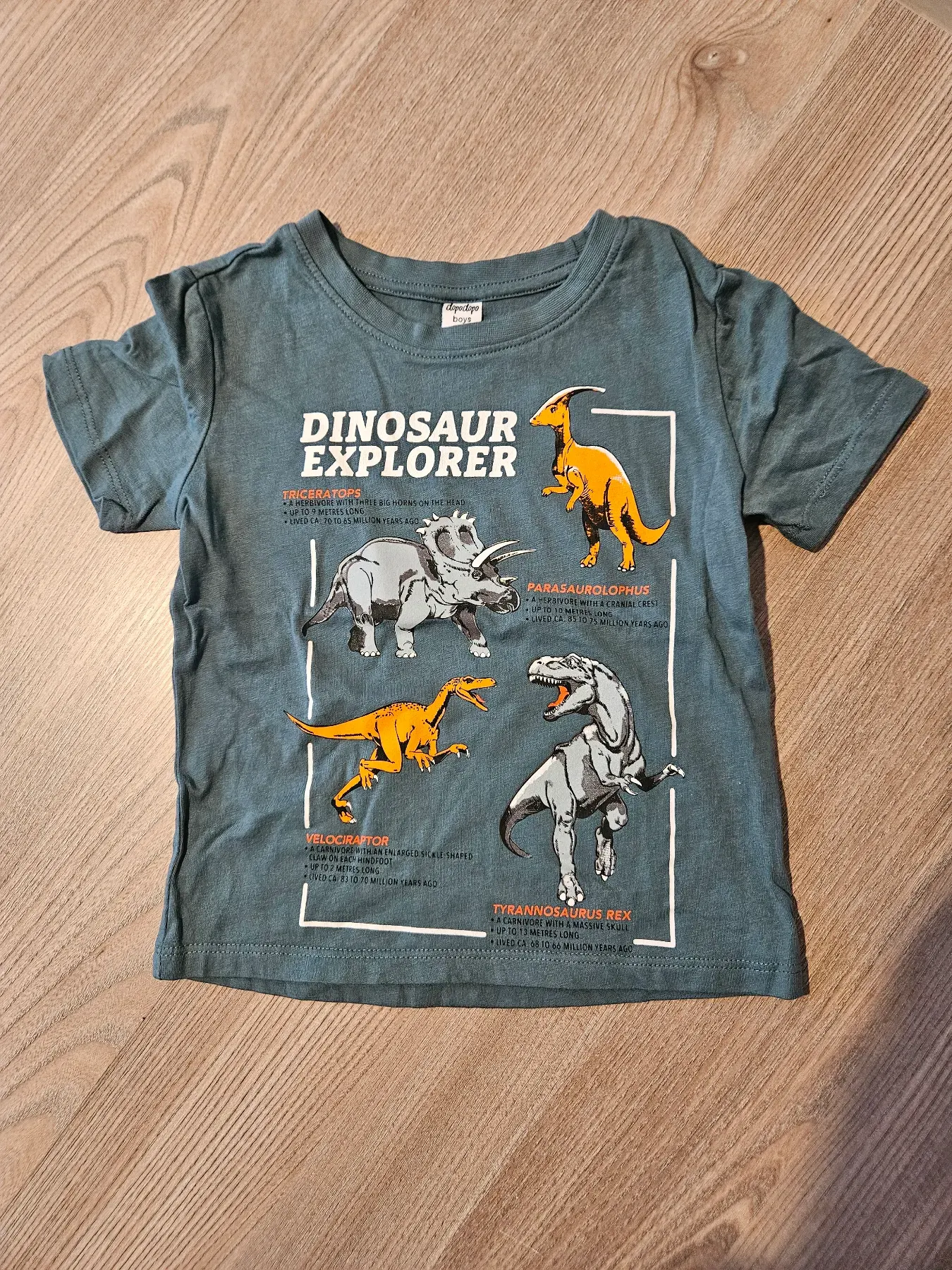 2 T-Shirts, Gr. 98