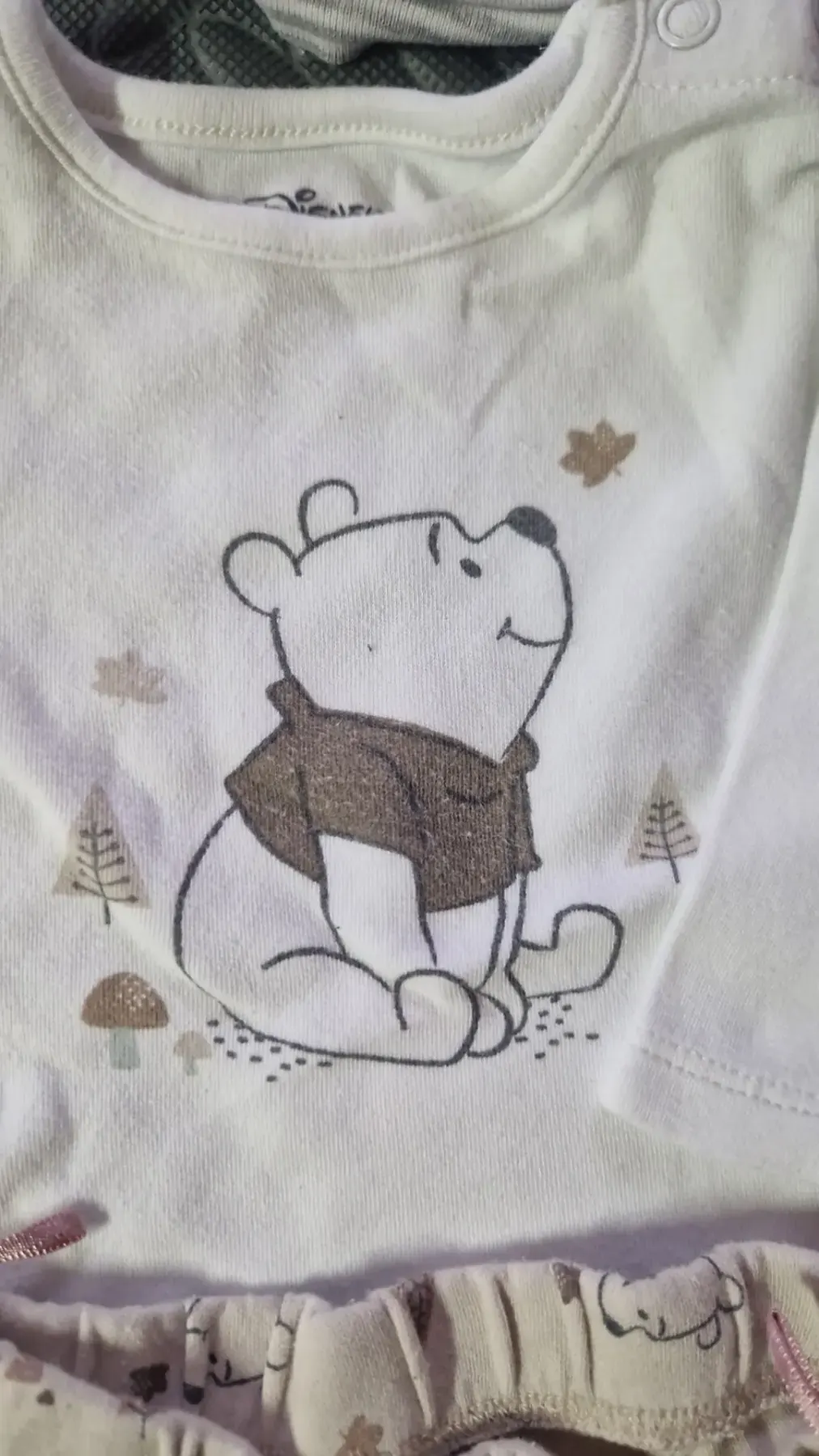 Disney winni Pooh