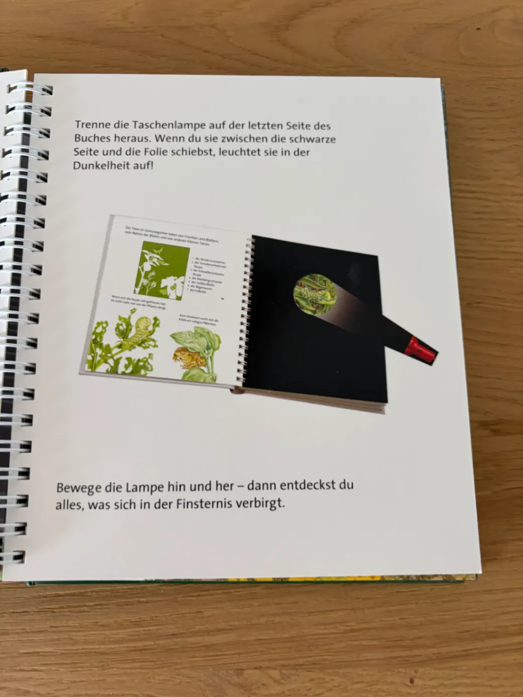 💡 Licht an! 💡 Nachts im Garten - Sauerländer Verlag